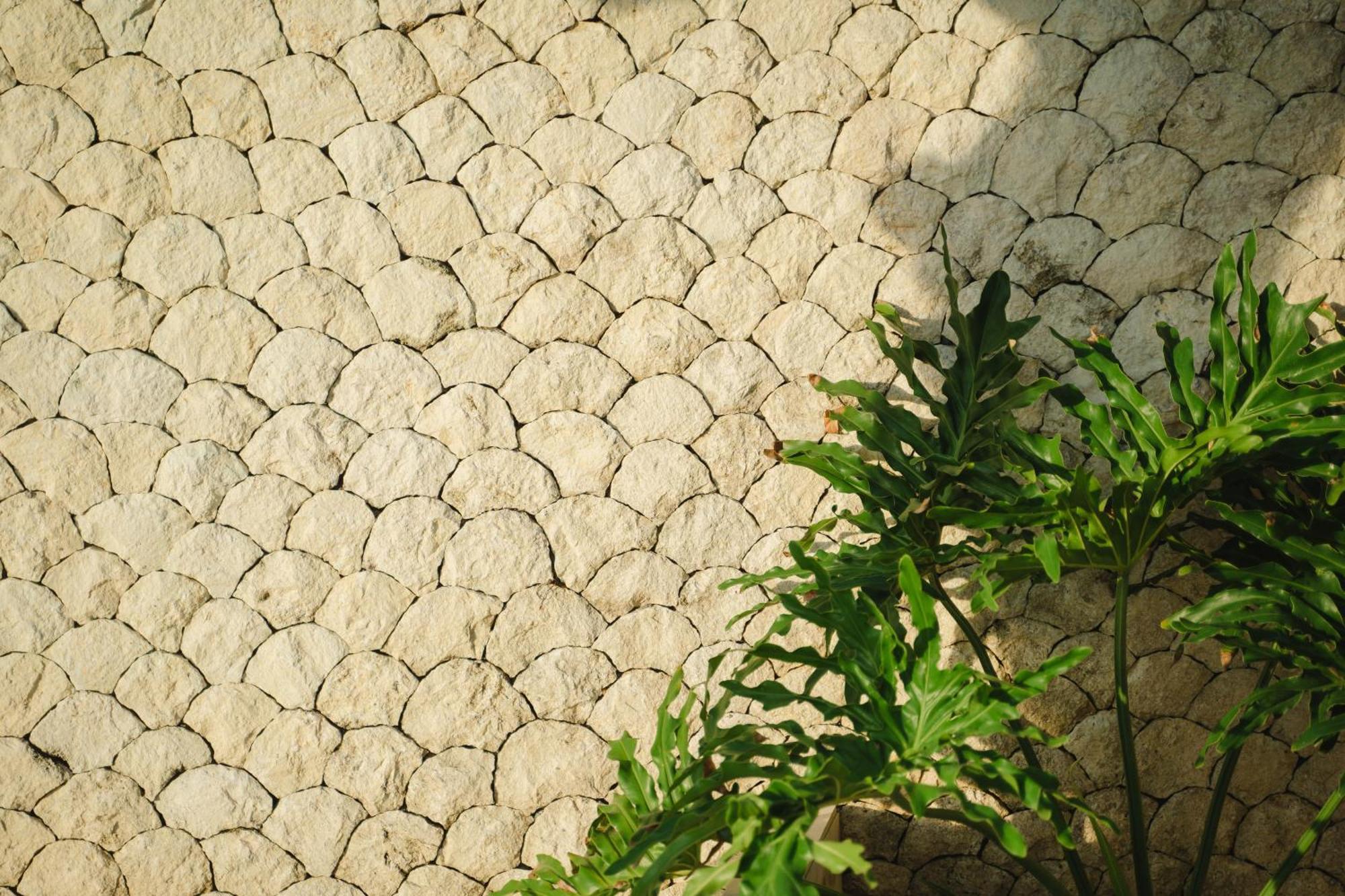 Isaiya Boutique Hotel Canggu Εξωτερικό φωτογραφία